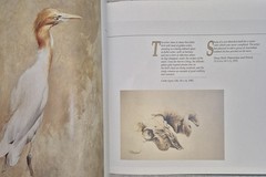 Ray Harris‑Ching • Masters of the Wild (1990 HC) • Wildlife Art