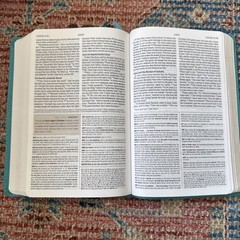 ESV Student Study Bible IMITATION LEATHER 2017 by ESV Bibles