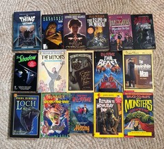 Mixed Lot Kids/youth Spooky Scary Mystery Chapter Paperback Books Vintage (16)