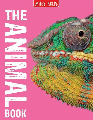 The Animal Book: 160 Pages Pac – Hardcover – GOOD