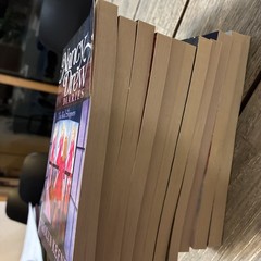Nancy Drew Diaries Books Set 1-11