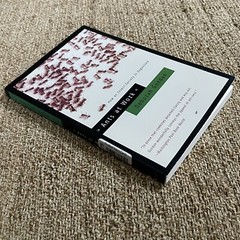 Ants at Work: How an Insect Society Is Organized, By Deborah Gordon, Pb