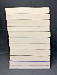Thomas Merton Annual Lot 11 Vols 11 13 21 23 25 26 28 31 33 35 Centenary 1998-22