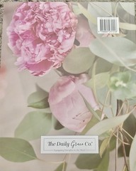 Daughters of Grace | Women of the Bible & the God of Grace The Daily Grace Co.