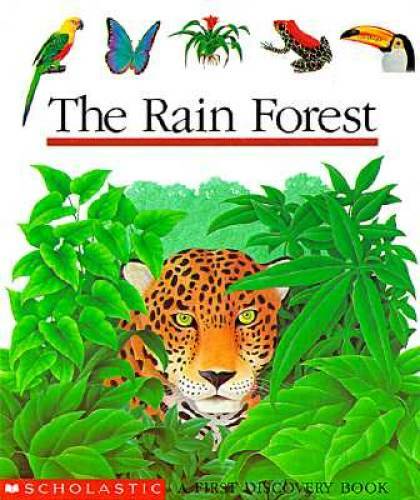 The Rain Forest (First Discovery Book) – Spiral-bound By Scholastic Books – GOOD