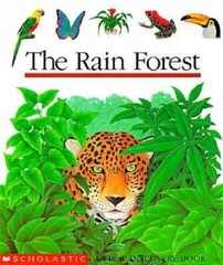 The Rain Forest (First Discovery Book) – Spiral-bound By Scholastic Books – GOOD
