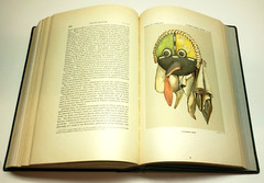 American Indian Ethnology Fifteenth 15th Annual Report 1893 – 1894