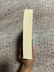 Malibu Rising By Jenkins Reid Taylor ARC / US Uncorrected Proof