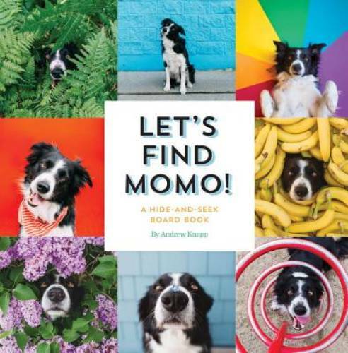 Let’s Find Momo!: A Hide-and-Seek Board Book – Board book – GOOD