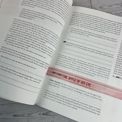 Daniel – Bible Study Book: Lives of Integrity, Words of Prophecy