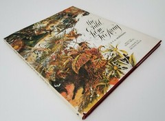 E.T.A. Hoffman The Child From Far Away Children’s Picture Book 1st Edition Vtg
