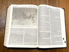 French Thompson Chain Ref. Bible, 1979 La Colombe, Thumb Idx. Brown Faux Leather