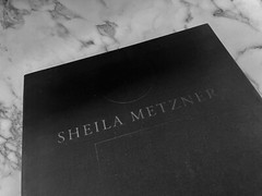 NEW RARE 1st ED 88/100 SLIPCASE CLAMSHELL BOX SIGNED Sheila Metzner Color BOOK