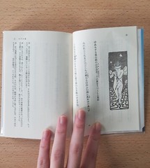 Akiko Yosano Kadokawa Poetry Collection Japanese Exclusive