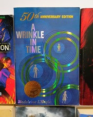 Lot of 10 Young Adult YA Books – Teen Fiction Novels Mixed Genres Bulk Lot
