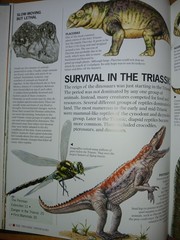 Dinosaurs Undercover – Triassic Dinosaurs Rupert Matthews