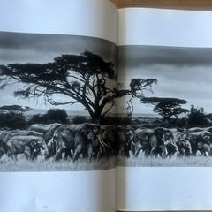 THE FAMILY ALBUM OF WILD AFRICA By Laurent Baheux – Hardcover teNeues DAMAGED