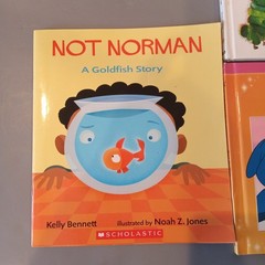 Variety Of Kids Learning Books And Shapes Colors Cards Lot Of 5