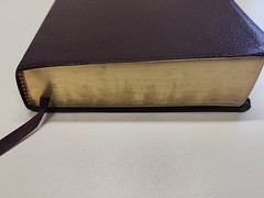 The Jack Van Impe PROPHECY BIBLE ~ Red Letter ~ Limited Special Edition KJV