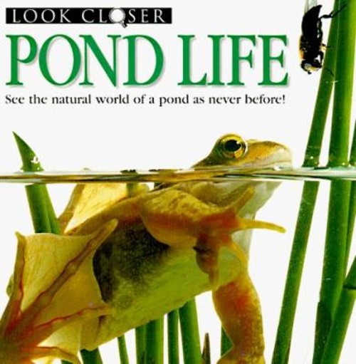 Pond Life Paperback Deni, Taylor, Barbara Bown