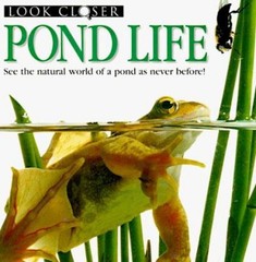 Pond Life Paperback Deni, Taylor, Barbara Bown