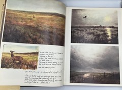 Vintage Noah’s Ark Rien Poortvliet HC Beige Illustrated 1986 Abrams Netherlands