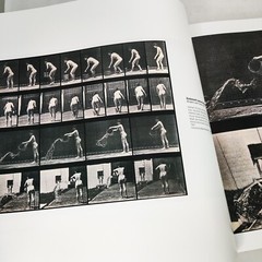 THE STORY OF NUDE PHOTOGRAPHY – HARDCOVER BOOK | SCALA GROUP 504 PAGES