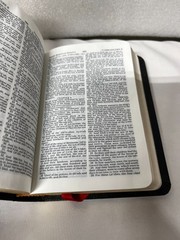 Holy Bible – The Smallest Bible Thomas Nelson 103 Black Leatherflex, gold pages