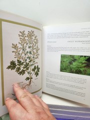 Herbal The Essential Guide to Herbs for Living Hardcover By Deni Bown 2001