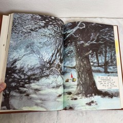 Gnomes by Wil Huygen & Rien Poortvliet 1977 Hardcover Illustrated Dust Jacket