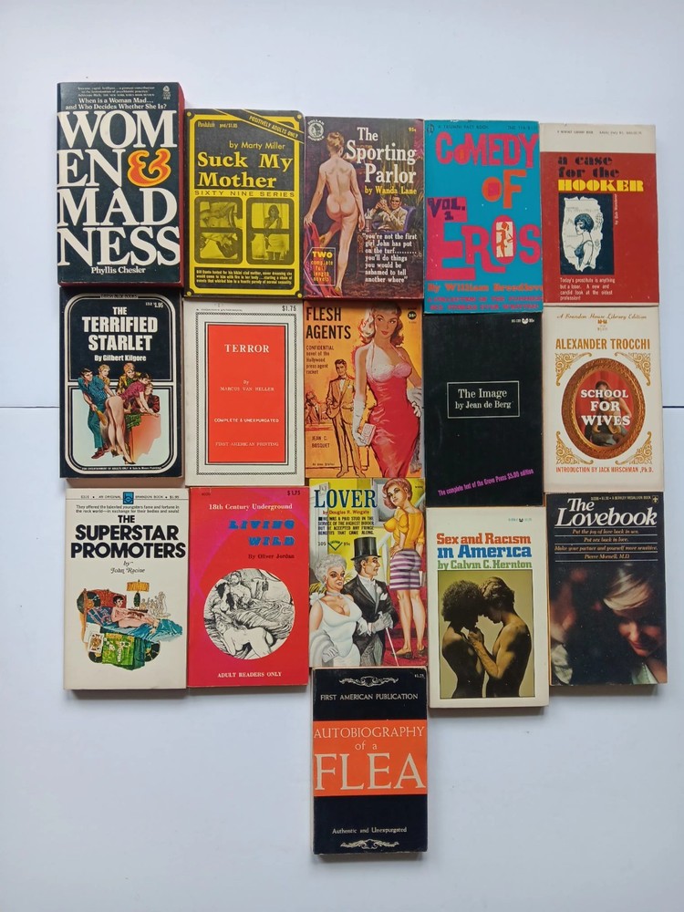 LOT of 17 VINTAGE ROMANCE EROTIC PAPERBACKS BOOKS 1960’S – 70’S RARE Set # 2