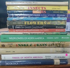 Lot 8 Vintage GOLDEN GUIDE Books BIRDS Butterflies FLOWERS Seashore INSECTS Tree