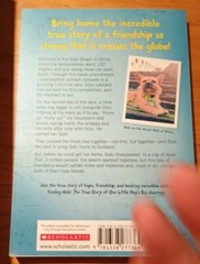 Lot Of 12 Scholastic Book Lot Various Titles