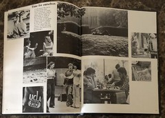 UCLA Bruins 1977 – 1978 Official Class Yearbook Southern Campus Illustrated NCAA