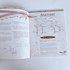How to Draw Spirit Stallion of the Cimarron 2002 DreamWorks Art Book NEW VINTAGE