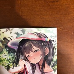 GRATIFY Tsuya by Melonbooks Girls Collection 2024 GW ROYAL Art Book Illustration
