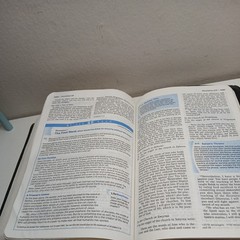 Student Bible NIV Philip Yancey Tim Stafford 2002 Bonded Leather Zondervan