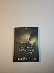 A Little Pot of Oil: A Life Overflowing (LifeChange Books) by Briscoe