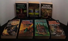 VTG Mixed Book Lot of 30 Fantasy Sci-fi: Brooks Hambly Del Rey ACE Books & MORE!