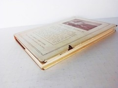 The Spirit World (Illustrated) by Clarence Larkin, Vintage Hardcover 1921