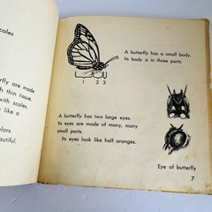 What Is A Butterfly Book 1958 Gene Darby What Is It Series Vintage MCM Science