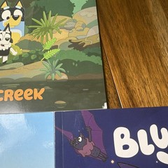 Bluey Lot of 3 Picture Books: The Creek, The Beach, Good Night Fruit Bat