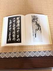 Wu Changshuo Paintings and Praises Aoyama Sugisame Edition Nigensha 31x22cm Har