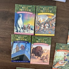 Magic Tree House Lot 27 Books #1-28 Missing #5 Mary Pope Osborne PB