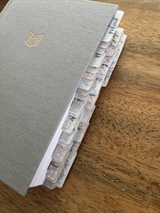 9.5″ She Reads Truth Bible CSB Holman Hardcover Linen SECTION TABS