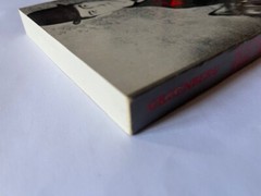 Kafka : The Terror of Art Paperback by Martin Greenberg