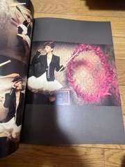 Amuro Namie Photo Book NEVER LAND Light Purple Concert Tour Memorabilia