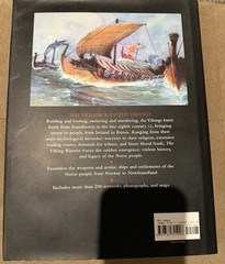 The Viking Warrior Hardcover 224 Pages by Ben Hubbard VG+