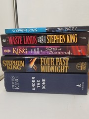 Lot Of 19 Stephen King HC And PB Books MULTIPLE FIRST EDITIONS MULTIPLE VINTAGE