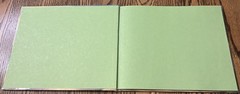 WHUPPITY STOORIE : by Carolyn White : illus S. D. Schindler : vintage